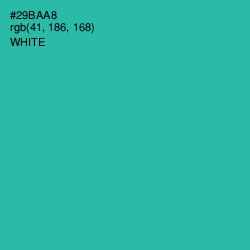 #29BAA8 - Pelorous Color Image