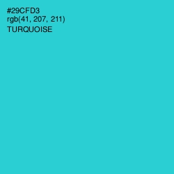 #29CFD3 - Turquoise Color Image