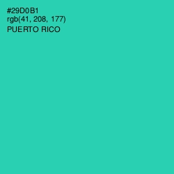 #29D0B1 - Puerto Rico Color Image