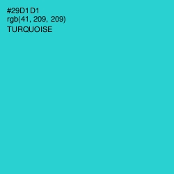 #29D1D1 - Turquoise Color Image