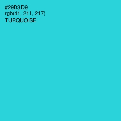 #29D3D9 - Turquoise Color Image