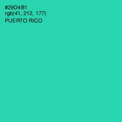 #29D4B1 - Puerto Rico Color Image