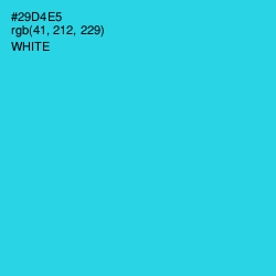 #29D4E5 - Turquoise Color Image