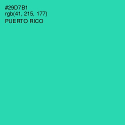 #29D7B1 - Puerto Rico Color Image