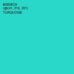 #29D8C9 - Turquoise Color Image