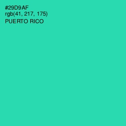 #29D9AF - Puerto Rico Color Image