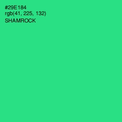 #29E184 - Shamrock Color Image