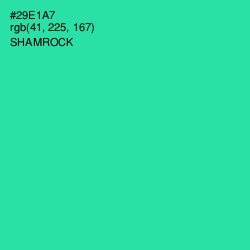 #29E1A7 - Shamrock Color Image