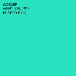 #29E2BF - Puerto Rico Color Image