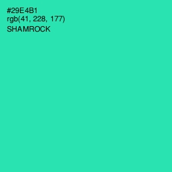#29E4B1 - Shamrock Color Image