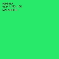 #29E96A - Malachite Color Image