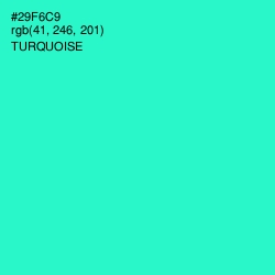 #29F6C9 - Turquoise Color Image