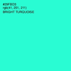 #29FBD3 - Bright Turquoise Color Image