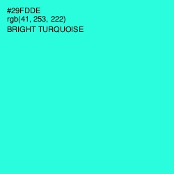 #29FDDE - Bright Turquoise Color Image