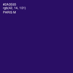 #2A0E65 - Paris M Color Image