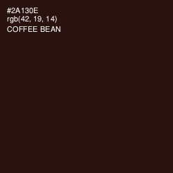 #2A130E - Coffee Bean Color Image