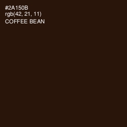 #2A150B - Coffee Bean Color Image