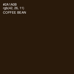 #2A1A0B - Coffee Bean Color Image