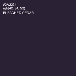 #2A2234 - Bleached Cedar Color Image