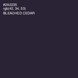 #2A2235 - Bleached Cedar Color Image