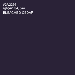 #2A2236 - Bleached Cedar Color Image