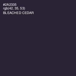 #2A2335 - Bleached Cedar Color Image