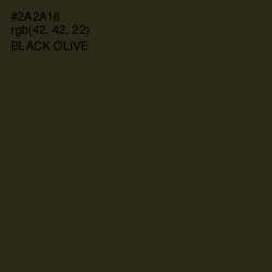 #2A2A16 - Black Olive Color Image