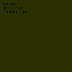 #2A3000 - Turtle Green Color Image