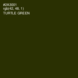 #2A3001 - Turtle Green Color Image