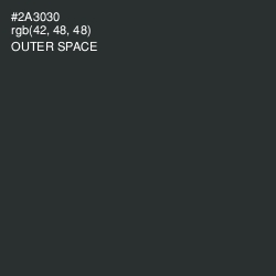 #2A3030 - Outer Space Color Image