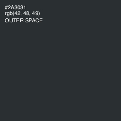 #2A3031 - Outer Space Color Image
