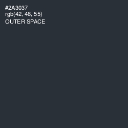 #2A3037 - Outer Space Color Image