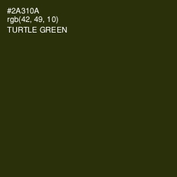 #2A310A - Turtle Green Color Image