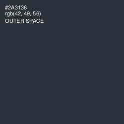 #2A3138 - Outer Space Color Image