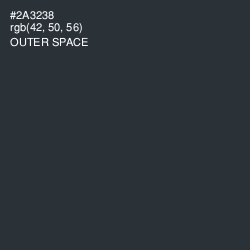 #2A3238 - Outer Space Color Image