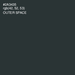 #2A3435 - Outer Space Color Image