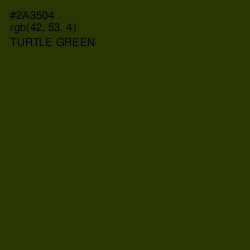 #2A3504 - Turtle Green Color Image