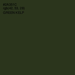 #2A351C - Green Kelp Color Image