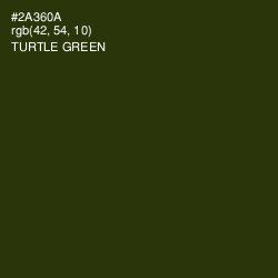 #2A360A - Turtle Green Color Image