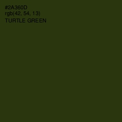 #2A360D - Turtle Green Color Image