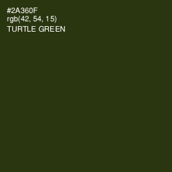 #2A360F - Turtle Green Color Image