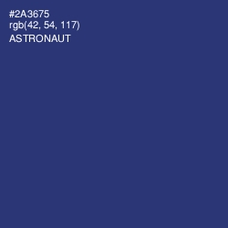 #2A3675 - Astronaut Color Image
