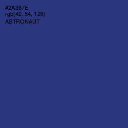 #2A367E - Astronaut Color Image
