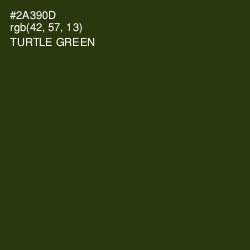 #2A390D - Turtle Green Color Image