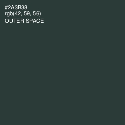 #2A3B38 - Outer Space Color Image