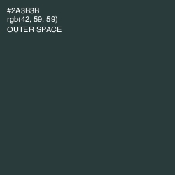 #2A3B3B - Outer Space Color Image
