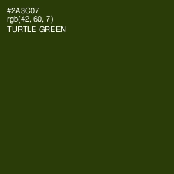 #2A3C07 - Turtle Green Color Image