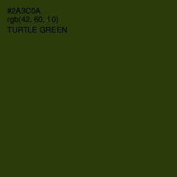 #2A3C0A - Turtle Green Color Image