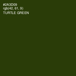 #2A3D09 - Turtle Green Color Image