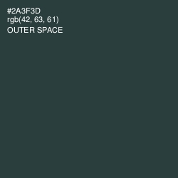 #2A3F3D - Outer Space Color Image